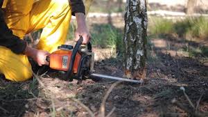 Lawn Grading and Leveling in Crystal City, TX